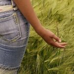 Eine junge Frau in Jeans läuft durch ein Weizenfeld.
